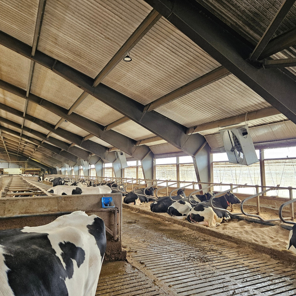 Ventilators BF 50 SuperFlow